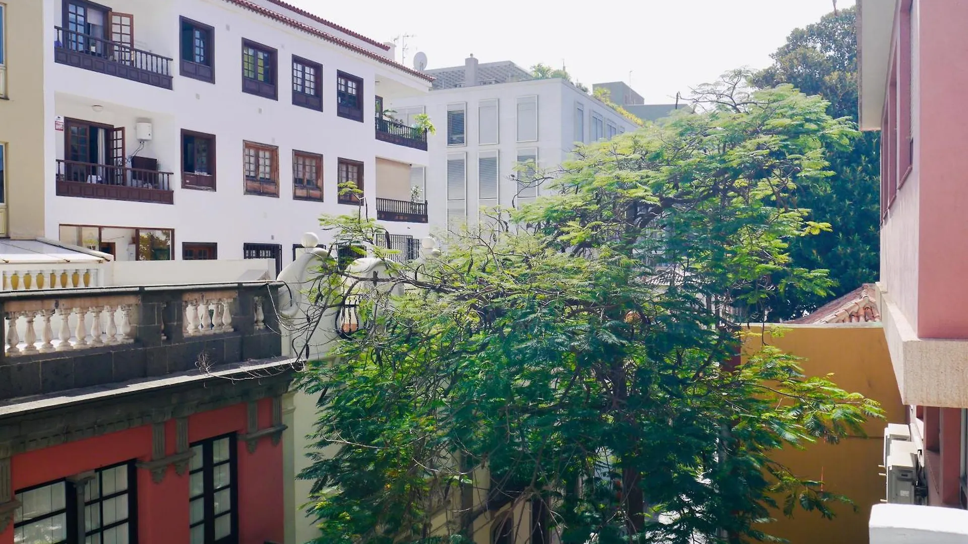 Apartman Macaronesia Home Santa Cruz de Tenerife